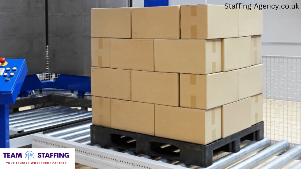 July 2024: Team Staffing Shines as London’s Top Picker Packer Agency